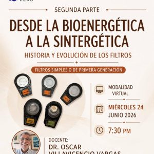 Desde la bioenergética a la Sintergética - Parte 2